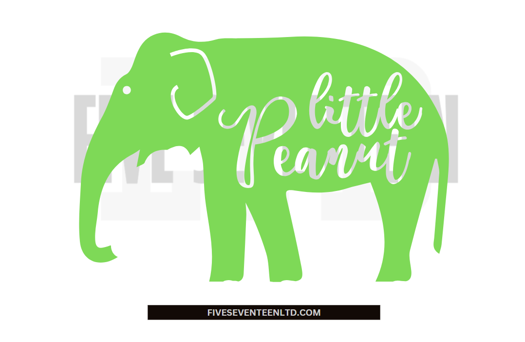 Children's Design Collection | Little Peanut | Elephant