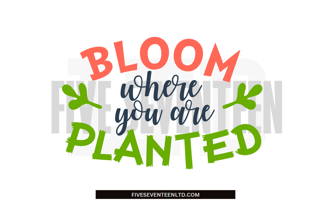 Motivational Design Collection | Bloom where you are planted