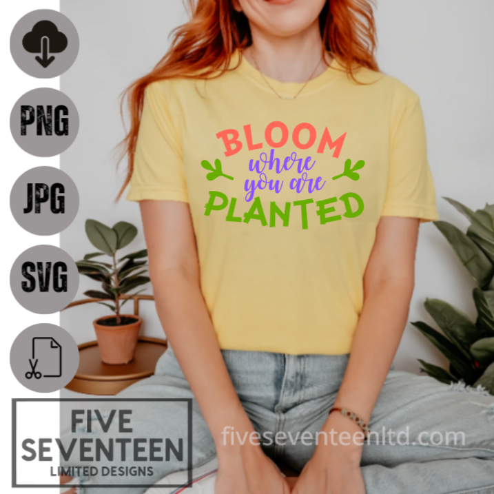 Motivational Design Collection | Bloom where you are planted